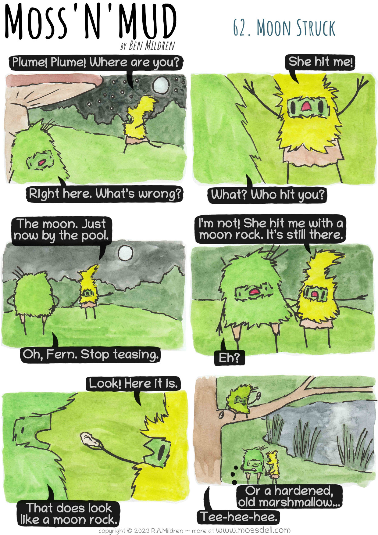 63. The Race